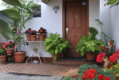 Vila desebita-POPA NAN- O oaza de liniste si verdeata in centrul orasului. - 11