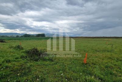 Teren intravilan | De vanzare | 450 mp | 14 ml deschidere | Partos - 4