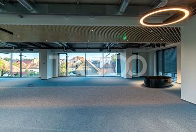 Birouri premium in Sibiu–Spatii flexibile moderne pentru companii - 14