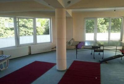 Vila 456mp utili  zona Plantelor - 19
