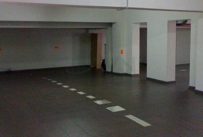 REA1021420 Apartament spatios langa Parcul Herastrau - 11