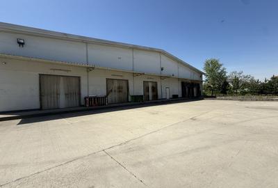 De inchiriat depozit logistic cu rafturi incluse, 2 rampe , Chitila - 3