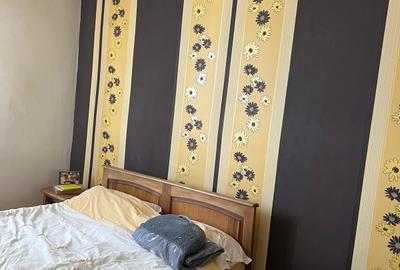 Casă P+E — 2 apartamente comunicante, zona Mihai Bravu / Stadionului, Ploiești - 13