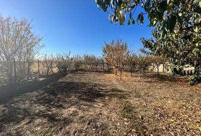 VANZARE CASA P+M PREDESTI PRAHOVA TEREN 1200 MP TOATE UTILITATILE - 1