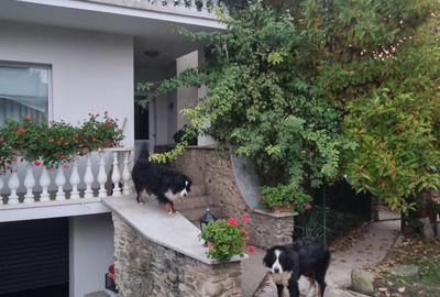 Casa la cheie mobilata si utilata cu 2500mp teren in oras - 1