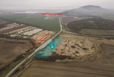 Teren extravilan in Ineu - 1