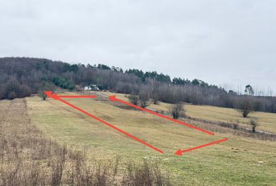 Teren extravilan 1500 mp de vânzare în Teliu – zonă liniștită - 1