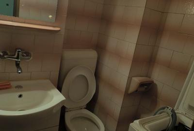 Apartament spațios cu 3 camere Tudor - 8