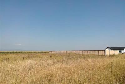 Teren intravilan la intrare in Bod dinspre Sanpetru - 4