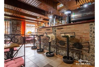 Pensiune rustică in Transilvania de vânzare în centrul comunei Saschiz - 21
