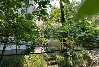 Casa si teren  - Zona Ultracentrala - 4