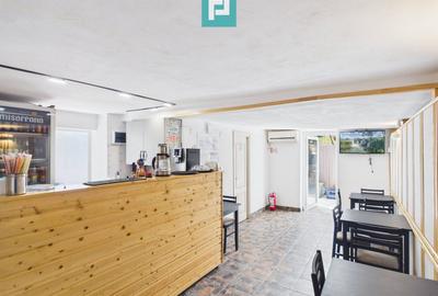 Casă + afacere activă | Venit 1100€/lună - 9