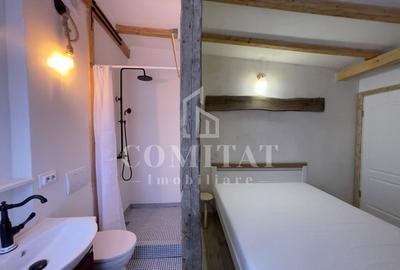 Aparthotel cu randament excelent ultracentral Cluj - 10
