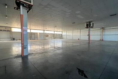 Hala 1400 pentru depozitare sau productie - 9