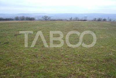 Teren 3000 mp intravilan langa Arka Parc si Arena Platos in Paltinis - 2