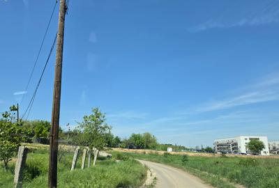 Teren cu livada perfect pentru CASA - 1.200 MP Sat Varlaam, Giurgiu - 7