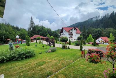 Penisune in Bucovina! Sucevita! De Vanzare! 0727817187 - 4