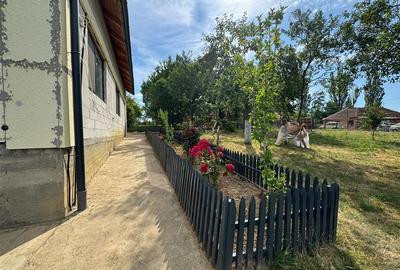 Reco casa in Balnaca - 10