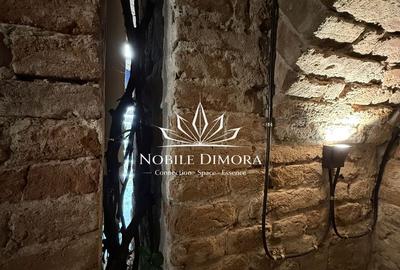 SAD - Spatiu comercial central de 160mp in Arad - ideal: crama, cafenea, magazin - 16