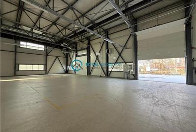 Royal Imobiliare-  Spatiu Industrial Zona Exterior Vest - 3