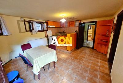 Casa S+P+1+M, pretabila pentru birouri, 300 mp teren, Cetate - 20