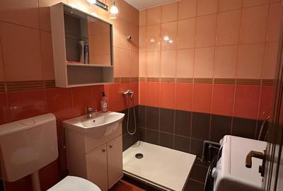 Teiul Doamnei vanzare ap 2 camere Grigore Ionescu la cheie - 3