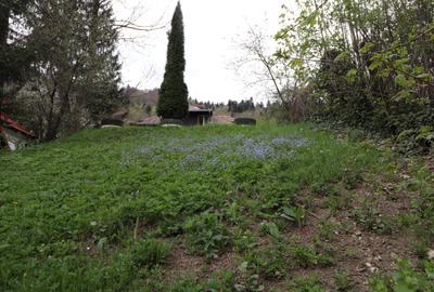 Teren de vânzare Sinaia Ultracentral – 300 mp, deschidere 12.1 ml la bulevard - 1