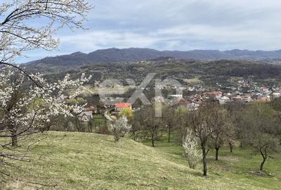 Oportunitate investiție în Corbi, Argeș | 22.000 mp teren în zonă de poveste - 1