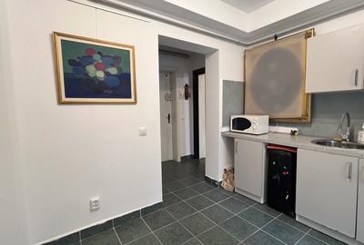 Vânzare garsonieră 40 mp, de la proprietar, Floreasca, București - 10
