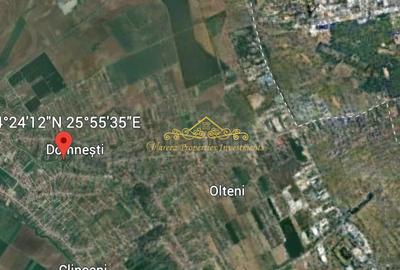 Teren Domnesti Vladimirescu, langa raul Ciorogarla - 7