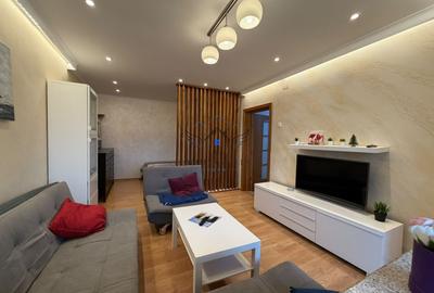 Apartament 2 camere de închiriat – Strada Zizinului - 3