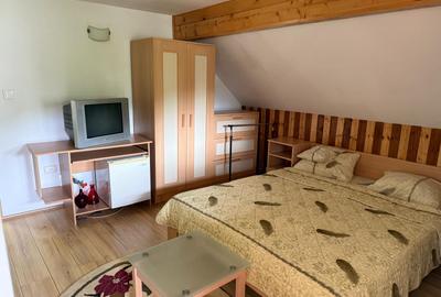 VANZARE CASA VILA INDIVIDUALA - 12