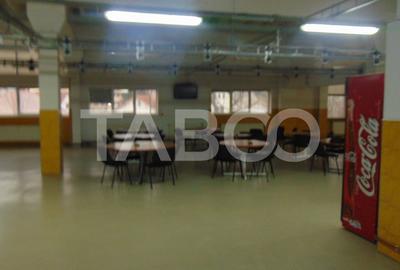 Hala generoasa amenajata pretabila productie Sibiu - 6