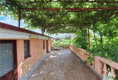 Vila eleganta - Str Grivitei - vanzare - Braila - 15