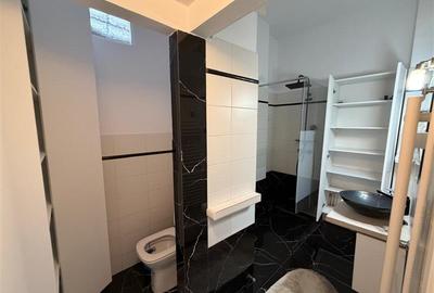 Apartament deosebit 3 camere CALEA VICTORIEI - 8