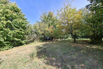 Comision 0. Teren cu autorizatie de construire in Salicea - 3