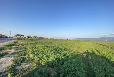 Teren extravilan de vanzare -5750 mp- deschidere la DJ 112B- Intrarea in Vulcan - 1