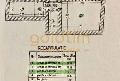 Vila interbelica D+P+1+M+spatii comerciale 340mp/necesita renovare/Gara de Nord - 17