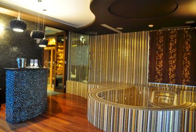 PENTHOUSE UNICAT vedere parc si la lac Herastrau - 25