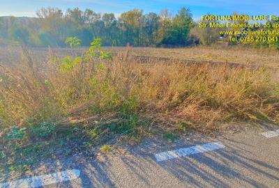 Teren Construcții intravilan de 2367 mp, în Exterior Est