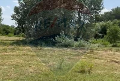 Teren-5000mp DN Ganeasa,sat Sindrilita,T9/Parcela 32/37 - 1