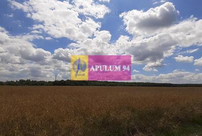 Teren 715mp în Snagov lângă Equestria - 44