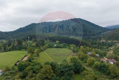 Proiect autorizat (AC) pentru constructia a 2 vile individuale P+M - 7