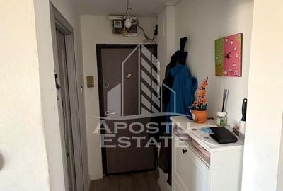Apartament cu 3 camere de vanzare, centrala, zona Sagului, Timisoara - 7