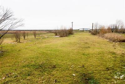 RECO . Teren intravilan cu hala metalica in Roit . - 8