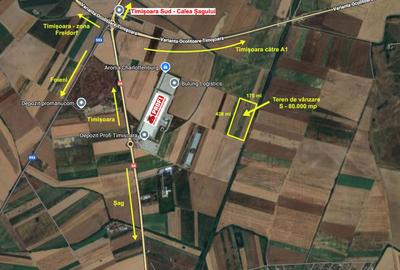 Teren extravilan 80.000 mp – lângă calea ferată & Profi Logistic – Șag - 2