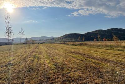 Vanzare teren intravilan 3000 mp, deschidere 28 m cu utilități Măgureni, Prahova - 4