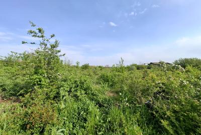 Teren Intravilan - 7