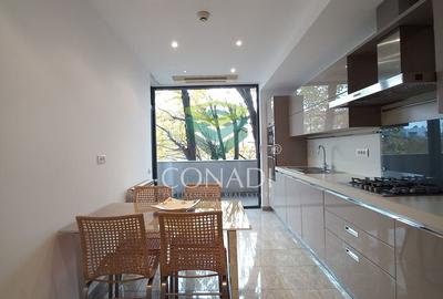 Apartament de inchiriat Primaverii 4 camere - 13