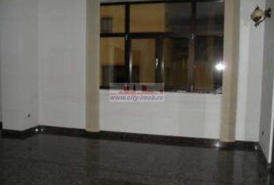 Inchiriere Vila Iancu Nicolae Gradinita, Clinica Medicala - 7